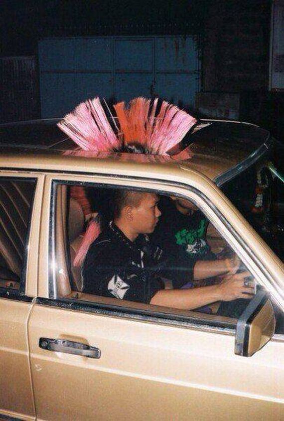 funny-pictures-1281