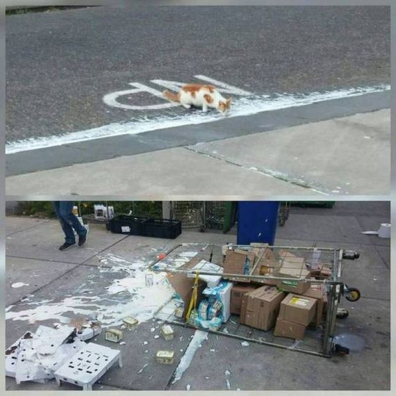 funny-pictures-1281