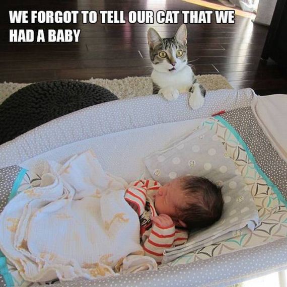 funny-pictures-1281