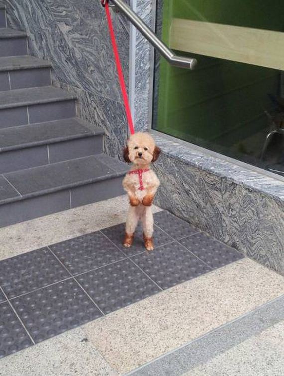 funny-pictures-1281