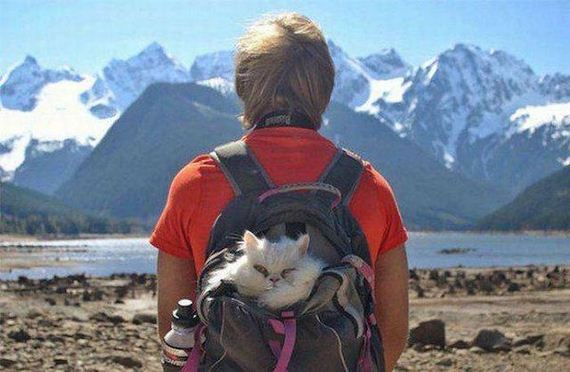 funny-pictures-1283