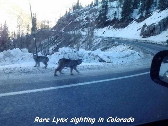 funny-pictures-1283
