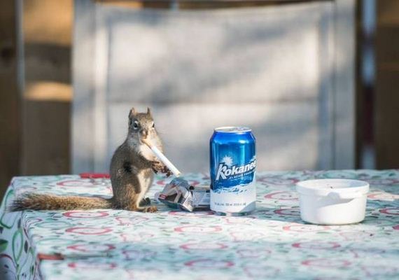 funny-pictures-1283