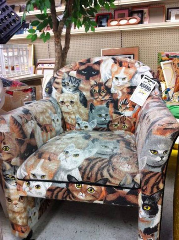 funny-pictures-1283