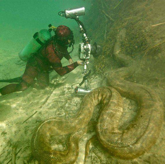 funny-pictures-1283