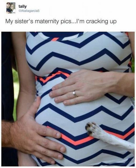 funny-pictures-1283