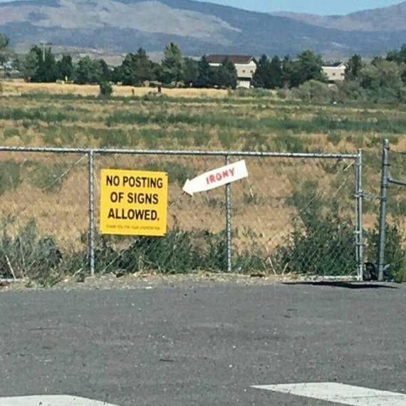 funny-pictures-1283