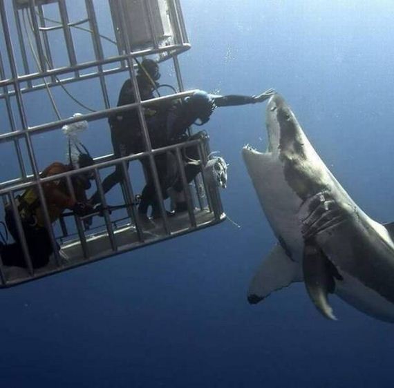 funny-pictures-1283