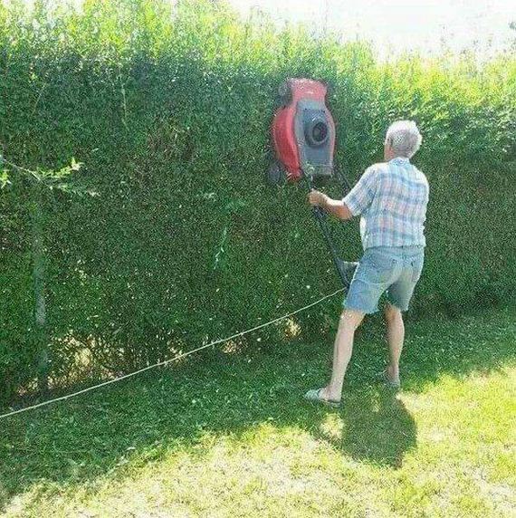 funny-pictures-1283