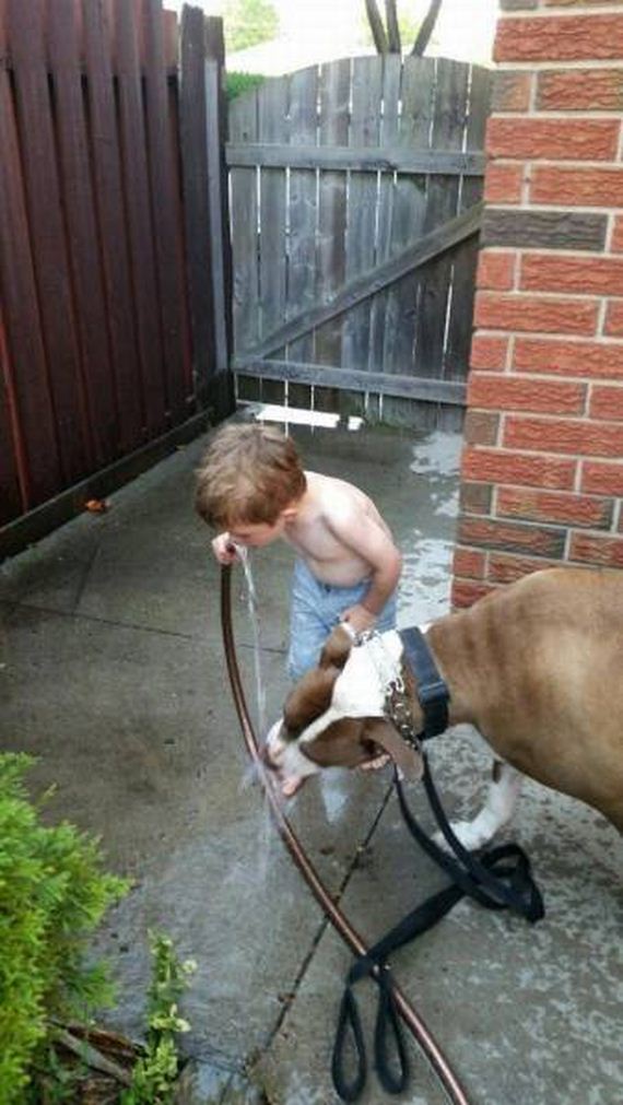 funny-pictures-1283