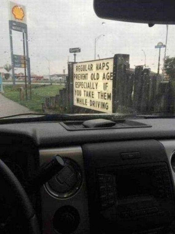 funny-pictures-1283