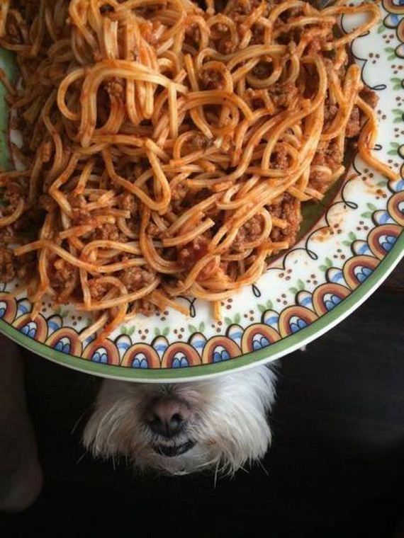 funny-pictures-1283