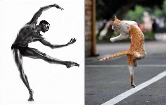 funny-pictures-1285