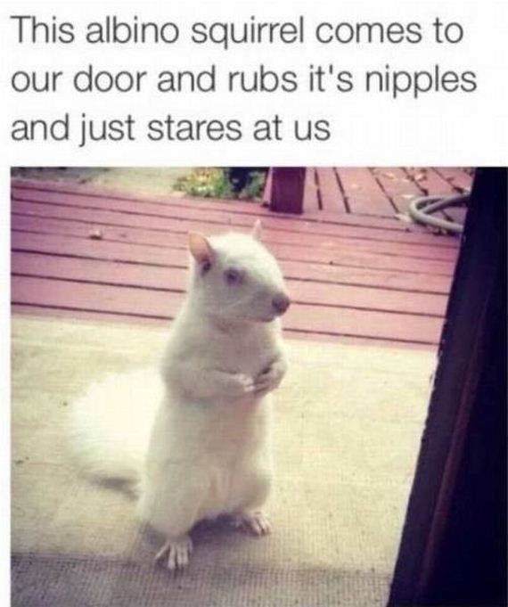 funny-pictures-1285