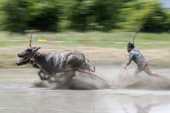 funny-pictures-1286