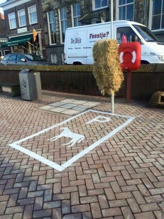 funny-pictures-1286