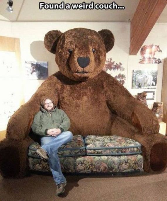 funny-pictures-1286