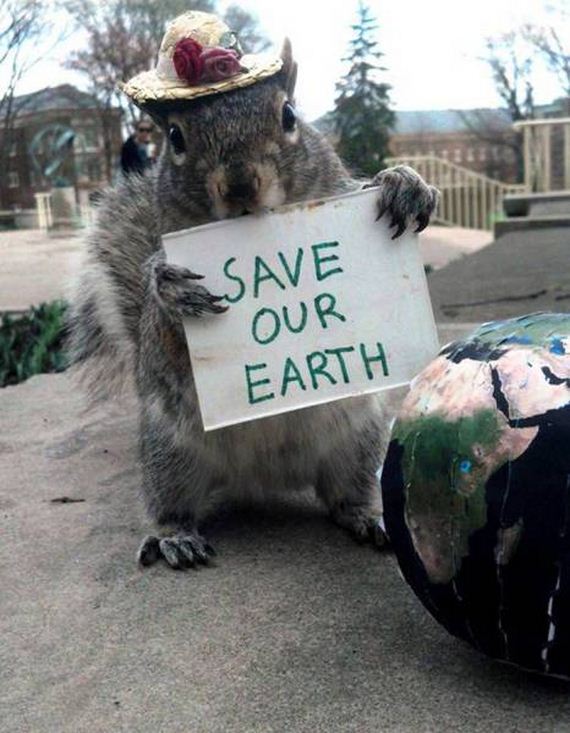 funny-pictures-1286