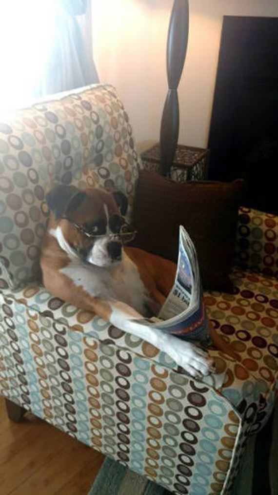 funny-pictures-1286