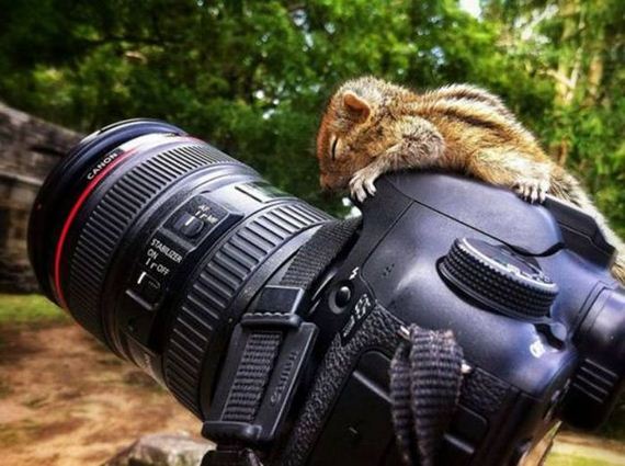 funny-pictures-1287