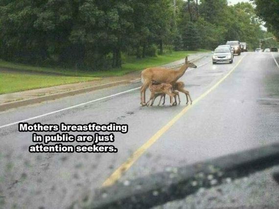 funny-pictures-1287