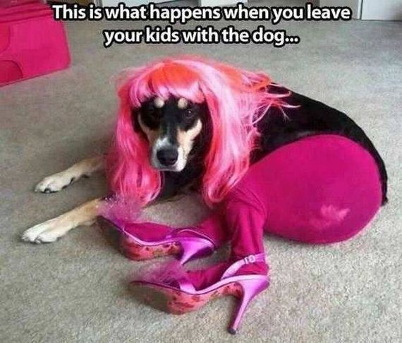 funny-pictures-1287