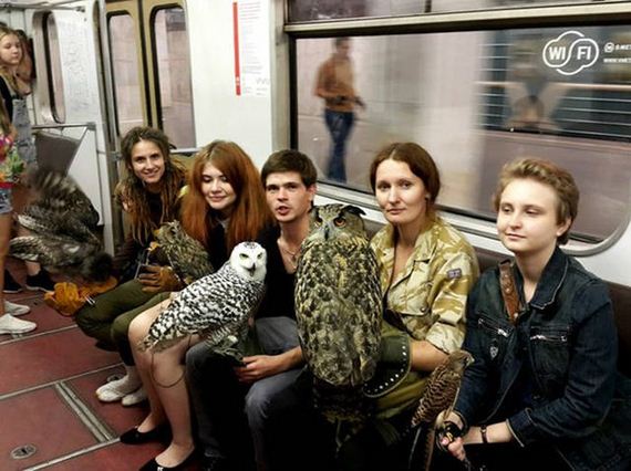 funny-pictures-1287