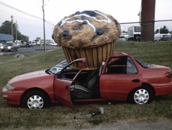 funny-pictures-1287