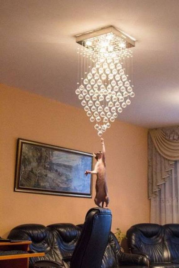 funny-pictures-1287