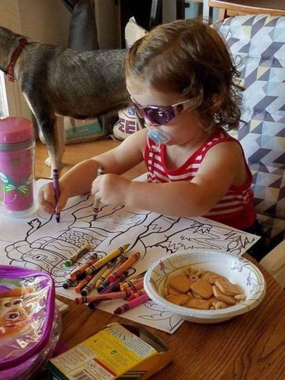 funny-pictures-1287