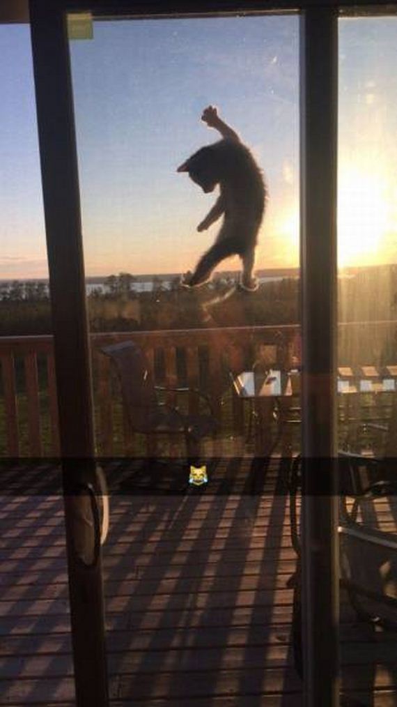 funny-pictures-1287