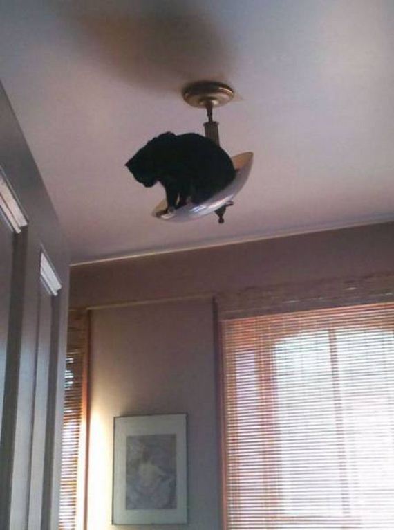 funny-pictures-1287