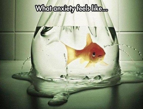funny-pictures-1288
