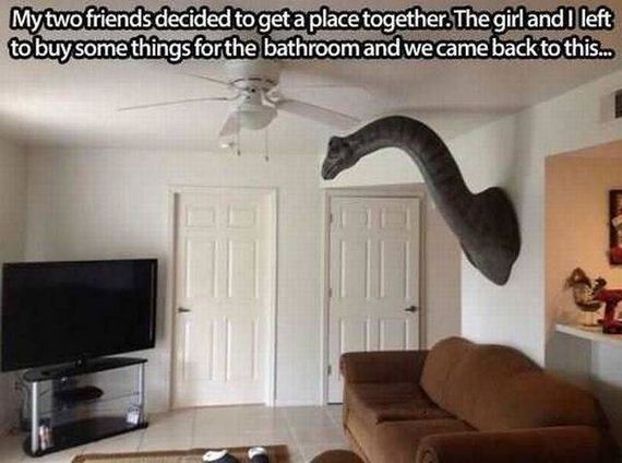 funny-pictures-1288