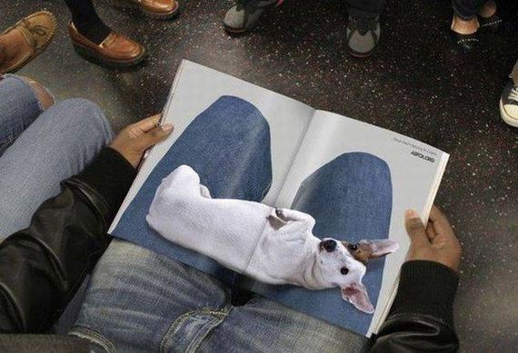 funny-pictures-1288