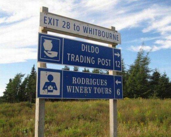 funny-pictures-1288
