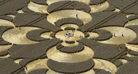 funny-pictures-1288