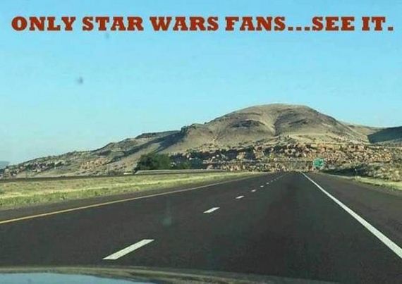 funny-pictures-1288