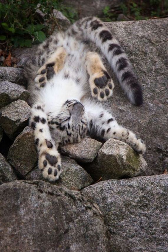 funny-pictures-1288