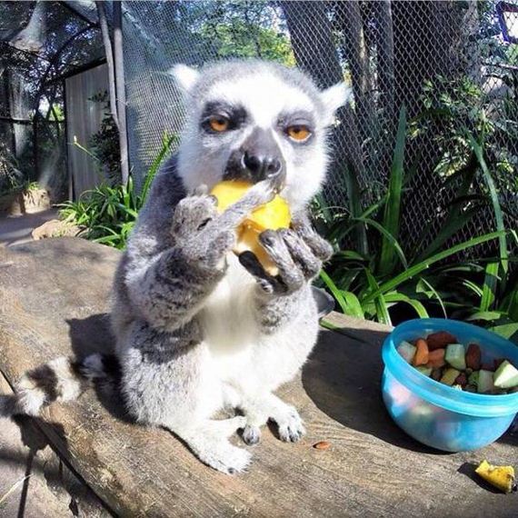 funny-pictures-1288