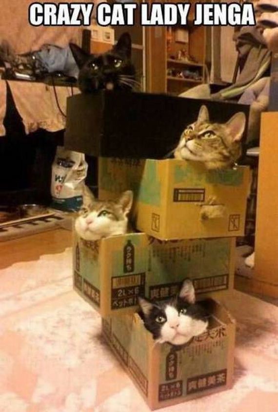 funny-pictures-1288