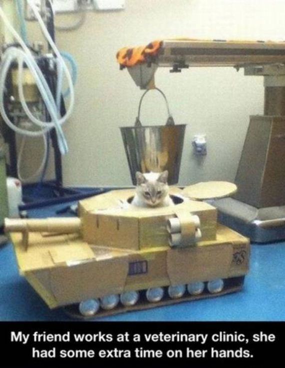 funny-pictures-1288