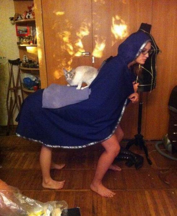 funny-pictures-1289