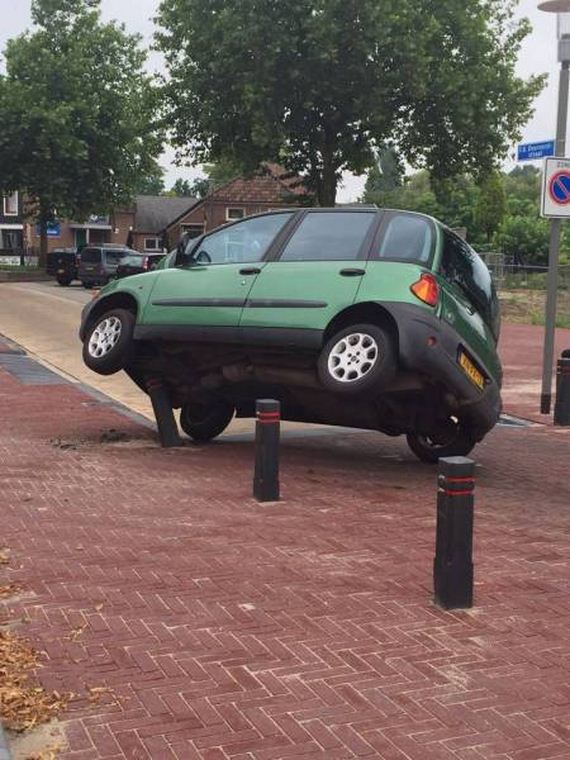 funny-pictures-1289