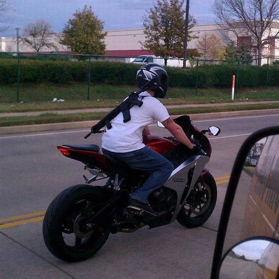 funny-pictures-1289