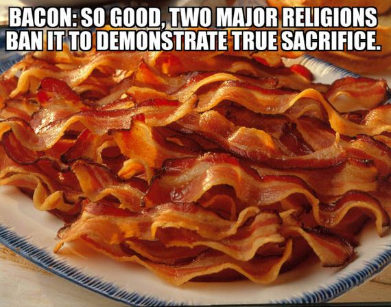 funny-pictures-1289