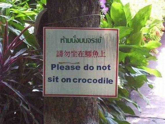 funny-pictures-1295