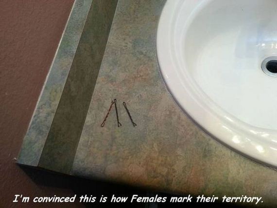 funny-pictures-1295