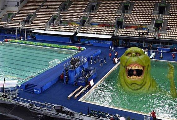funny-pictures-1295