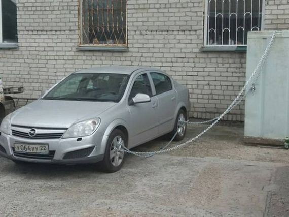 funny-pictures-1295